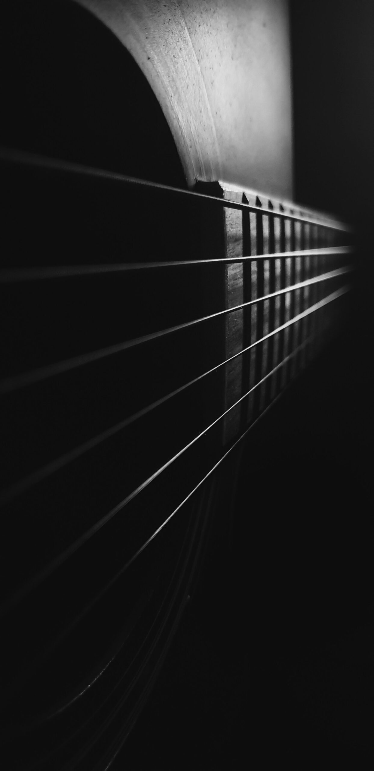 Die Bedeutung von Harmonie in der Musik von Sieber & Sieber